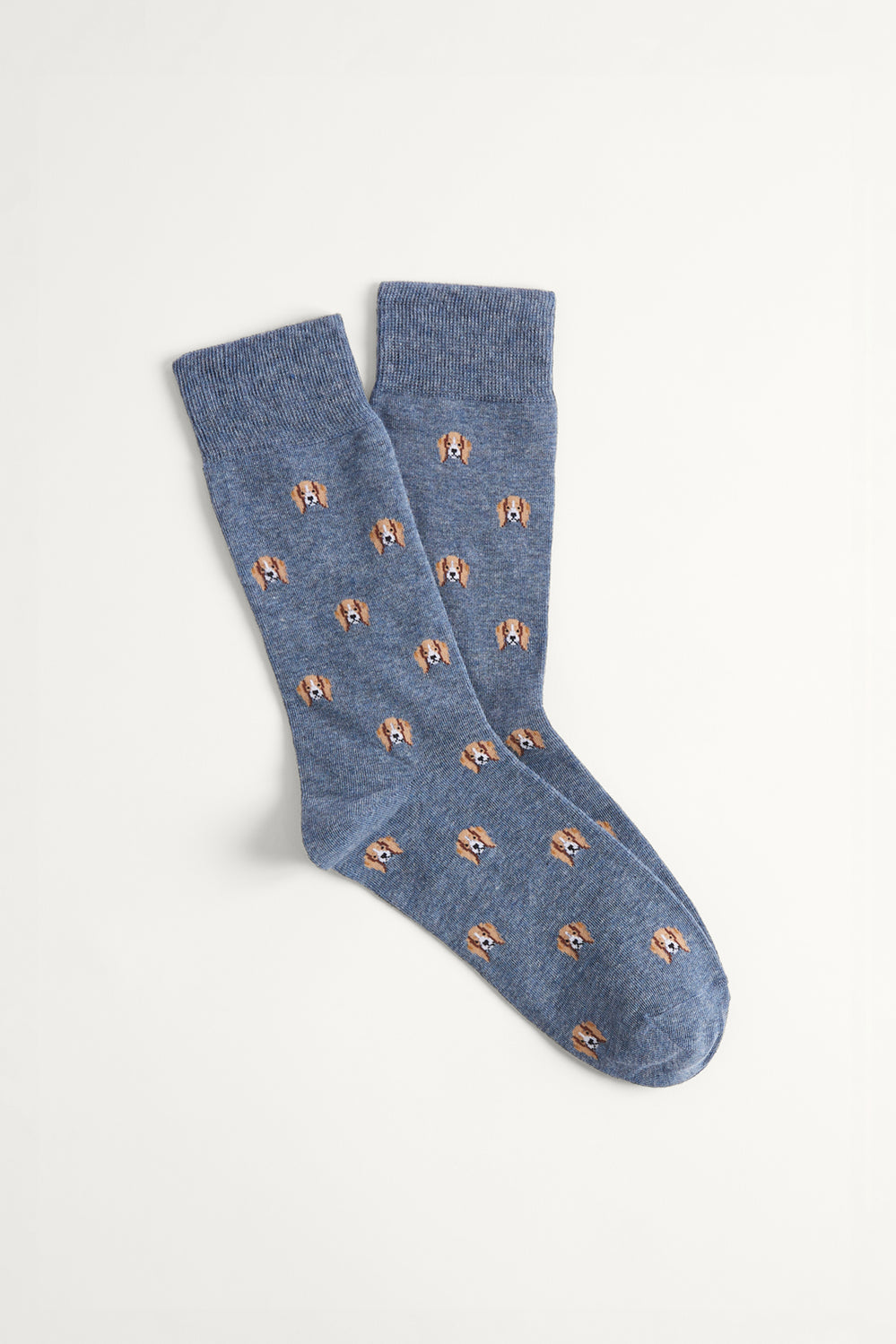 Beagle Sock