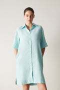 Delave Linen Shift Dress