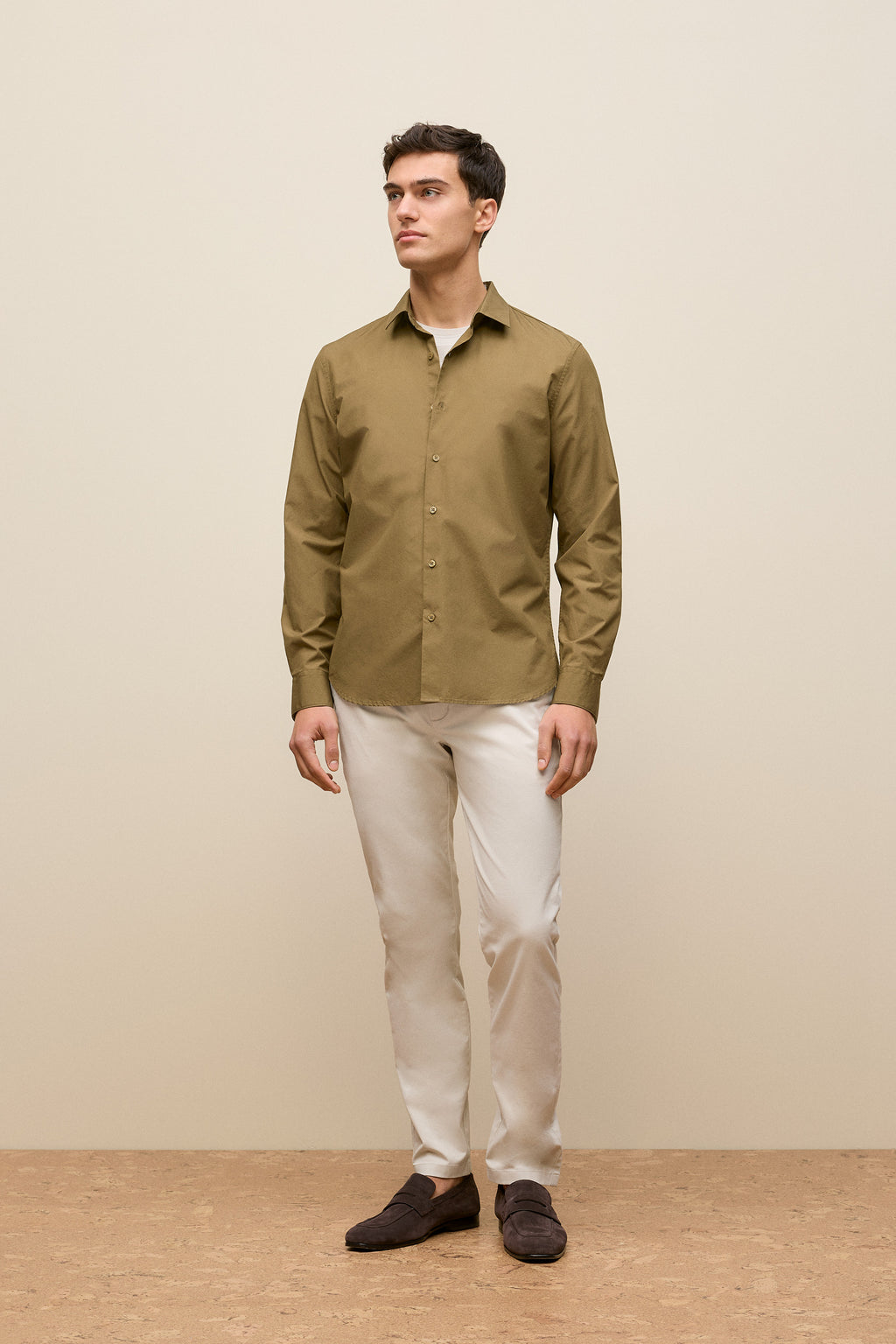Regular Fit Chino Pant