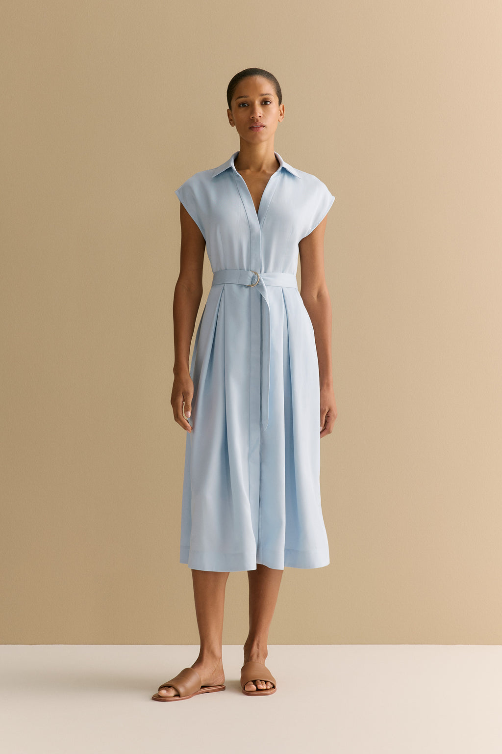 Soft Pleat Belted Dress