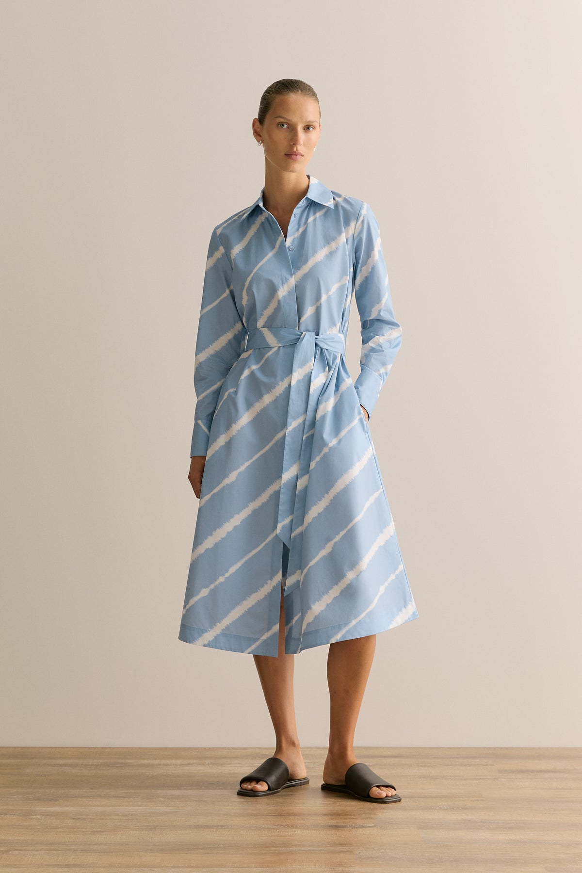 Feather Stripe Poplin Shirt Dress