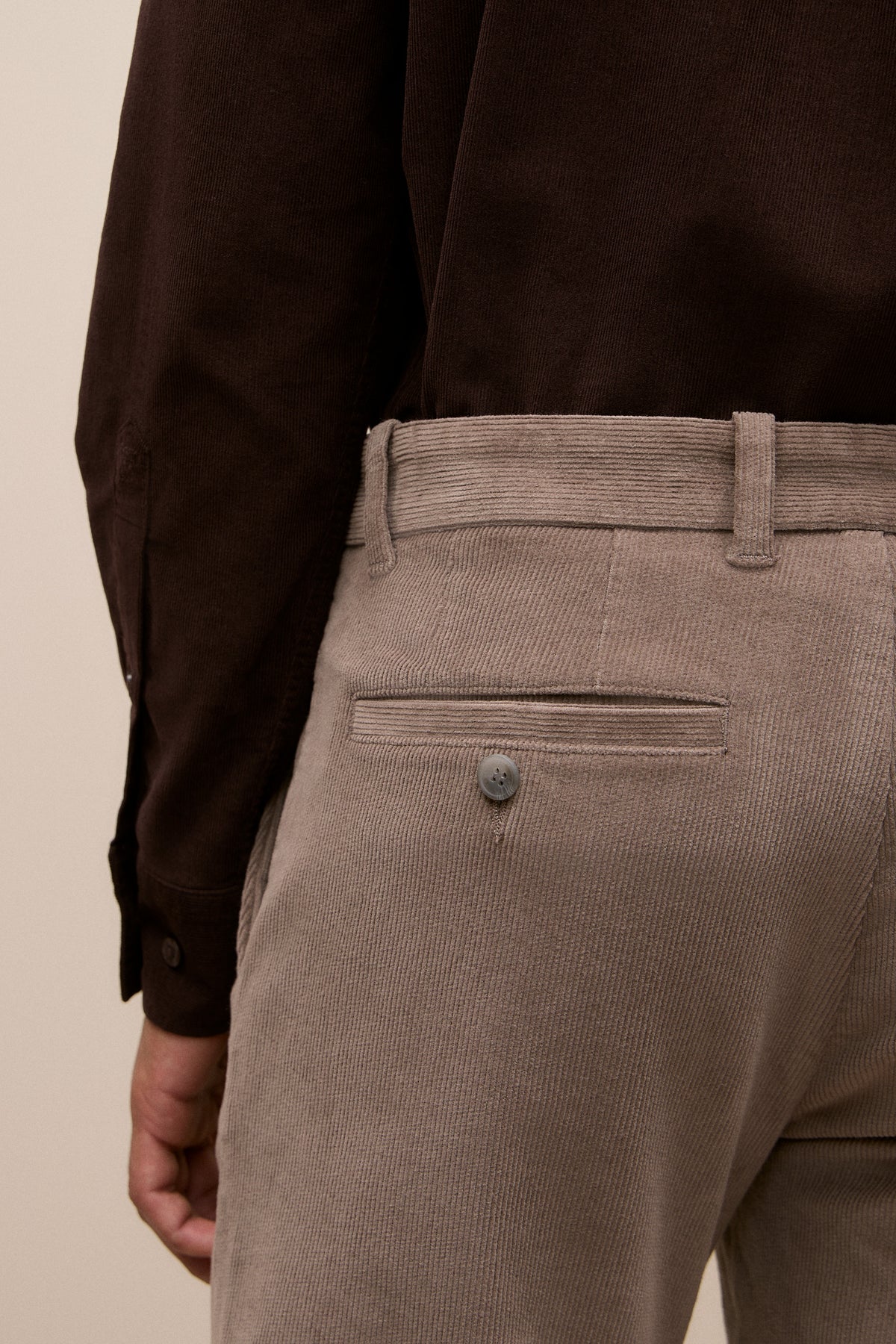 Regular Fit Cord Classic Pant