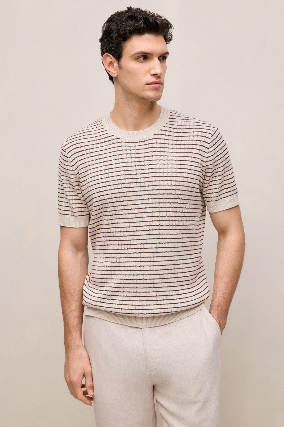 Linen Cotton Rib Stripe Knit T-Shirt