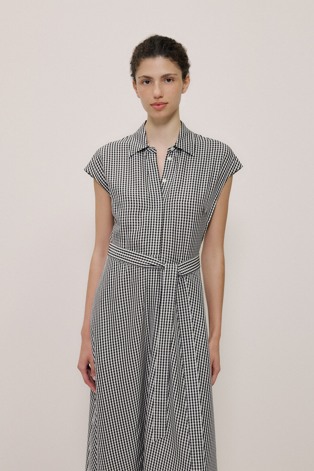 Gingham Belted Dress
